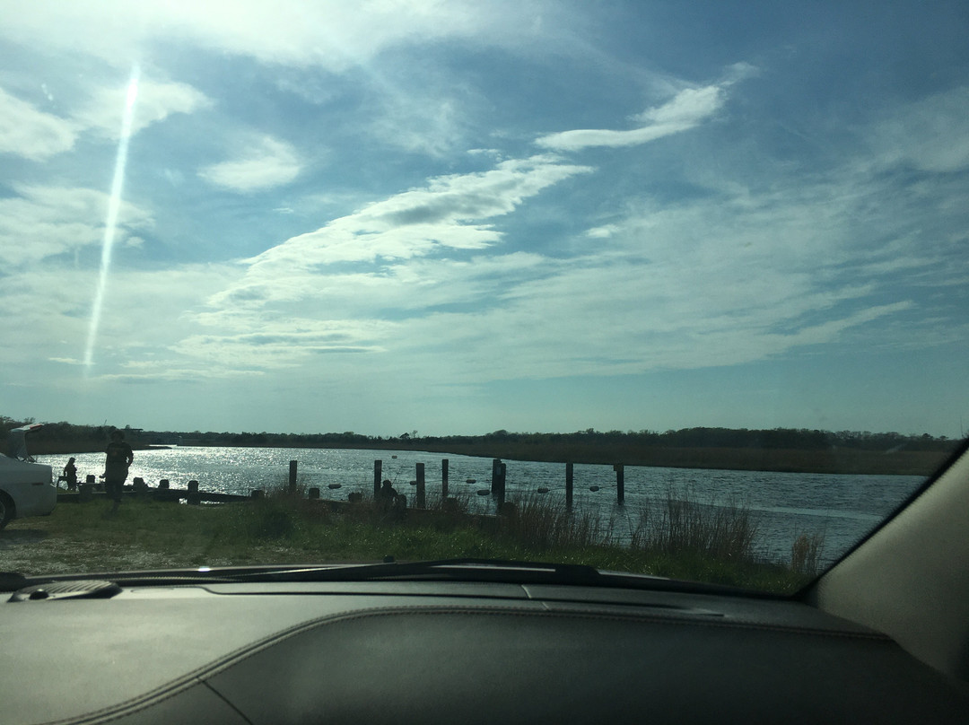 Tuckahoe Wildlife Management Area景点图片