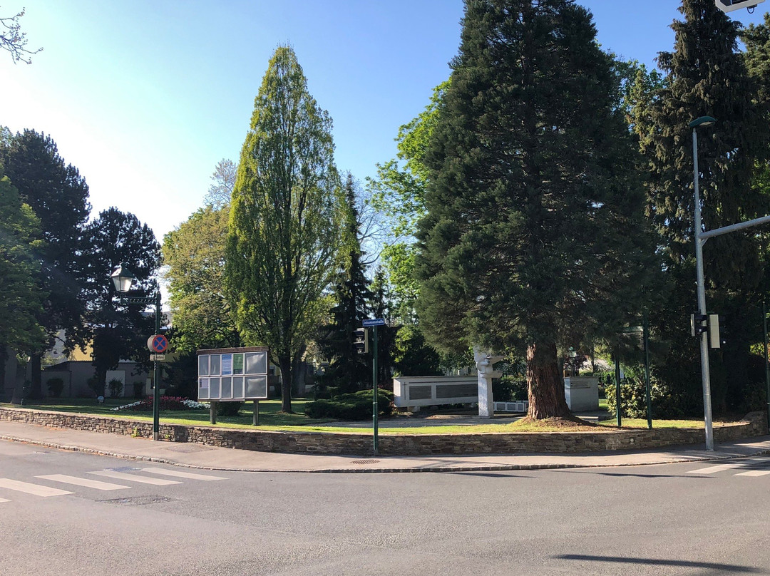 Bergschenhoekpark景点图片