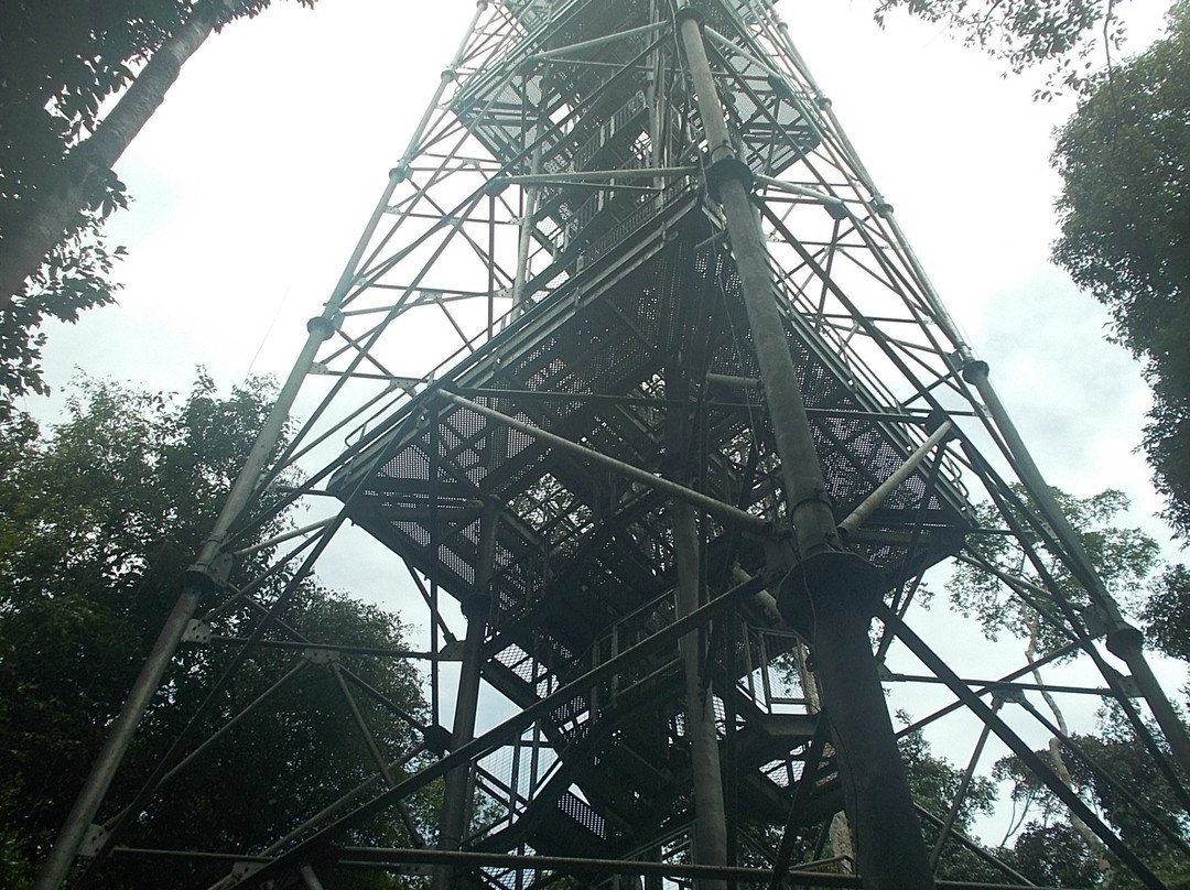 Museu da Amazonia (MUSA)-玛瑙斯必去景点