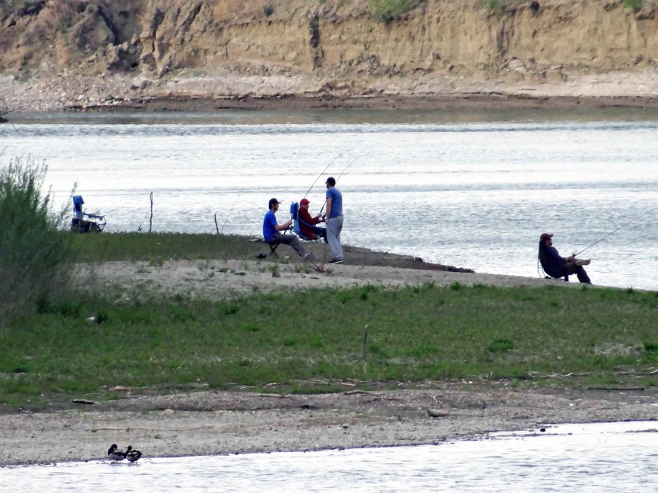 Strathcona Island Park-梅迪辛哈特必去景点