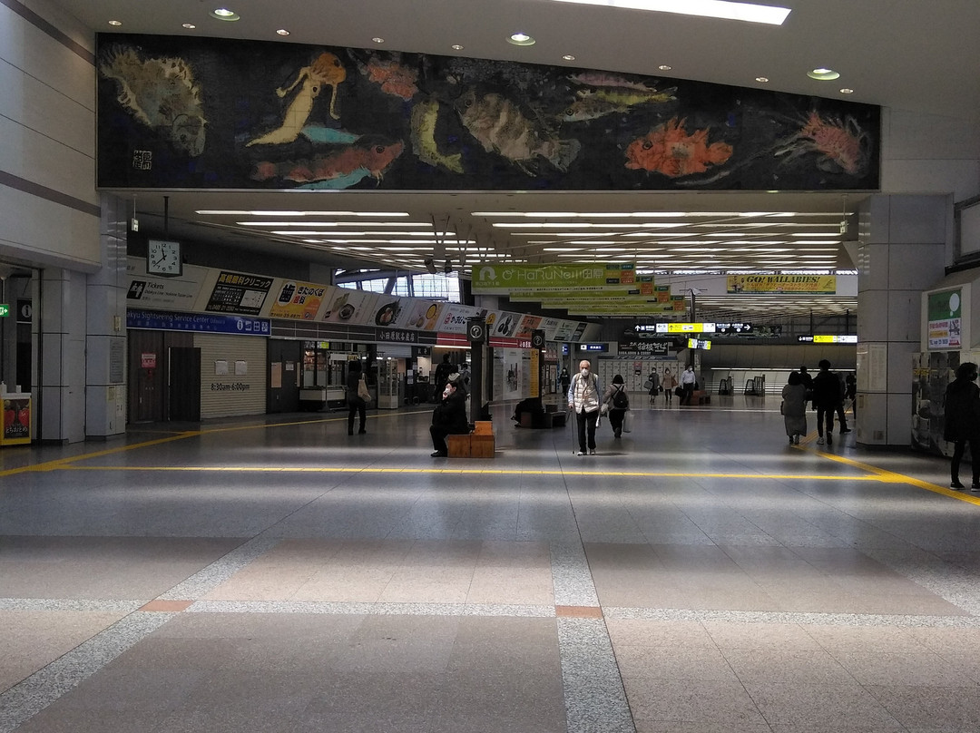 Odawara Station Tourist Information Center景点图片