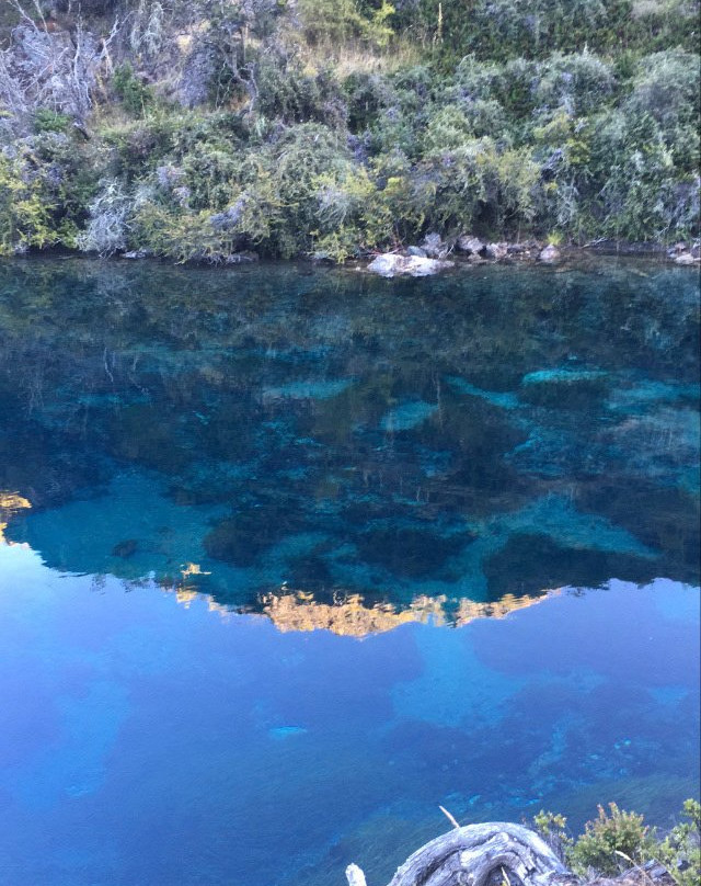Reserva Nacional Lago Cochrane o Tamango-Cochrane必去景点