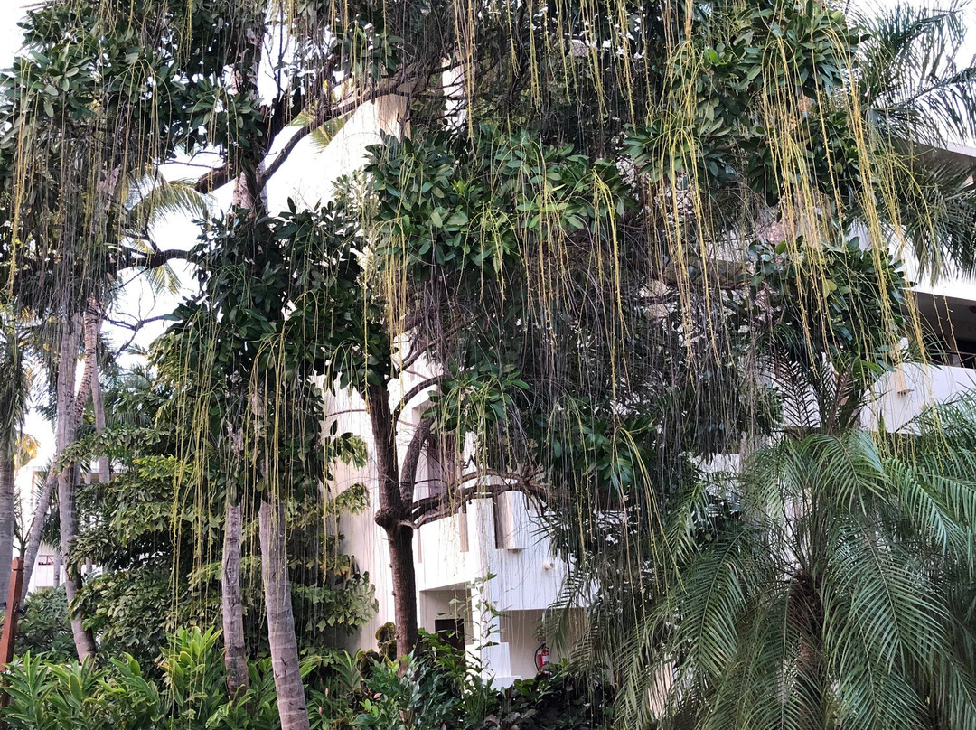 Tree of Life Wildlife Rescue Center and Botanical Gardens-卡维塔必去景点