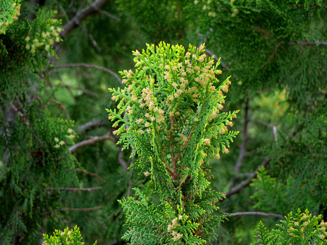 赫尔特山谷水疗酒店主图