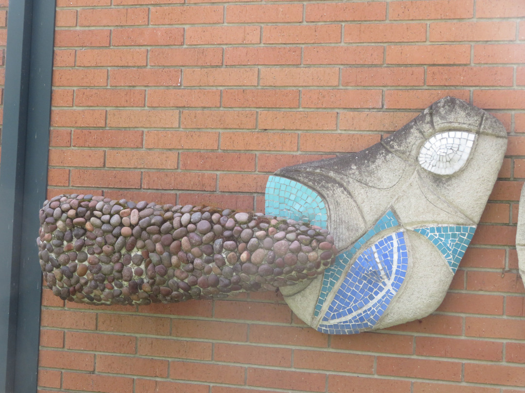 Rengstorff Park & Pool-山景城必去景点