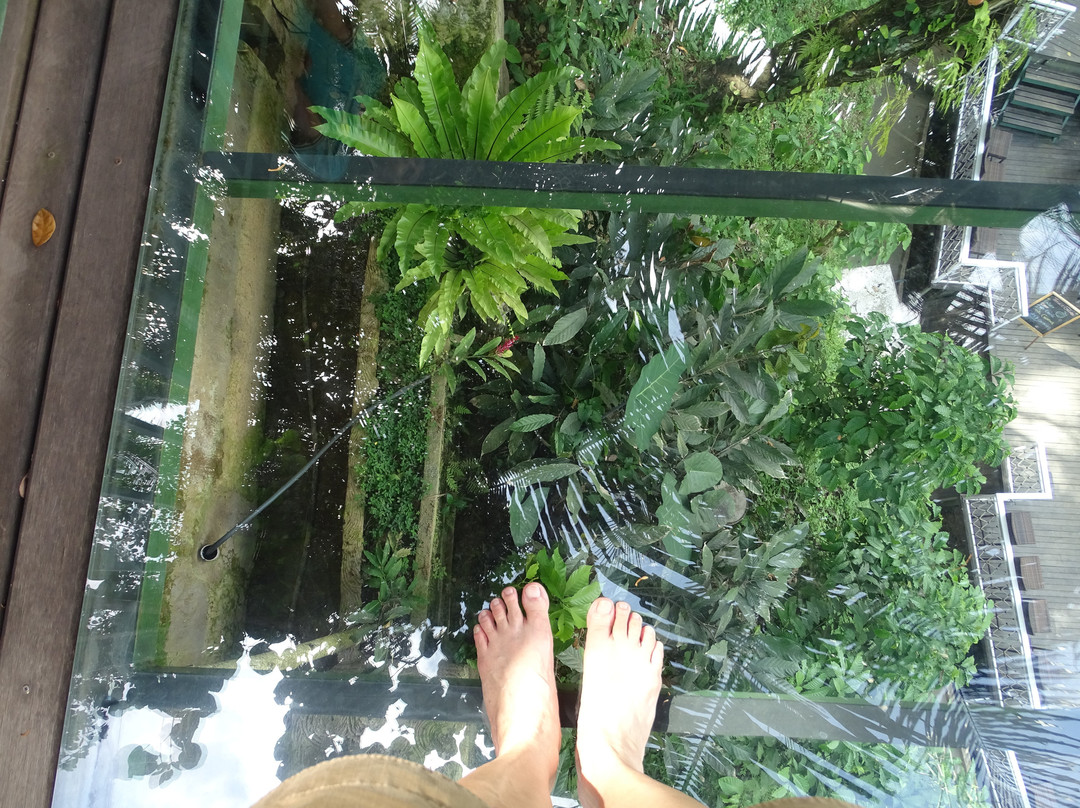 Terrace River Pool Swing-乌布必去景点