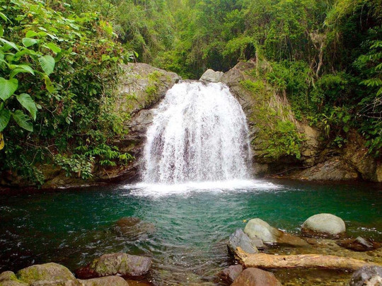 Singh Tours Int'l-蒙特戈贝必去景点