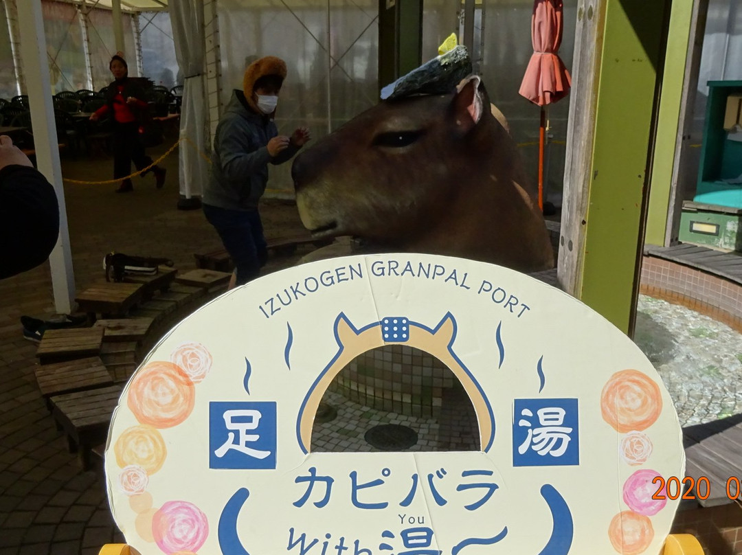 Izukogen Tabinoeki Granpalport景点图片