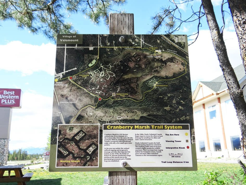 R.W. Starratt Wildlife Sanctuary-维尔蒙特必去景点