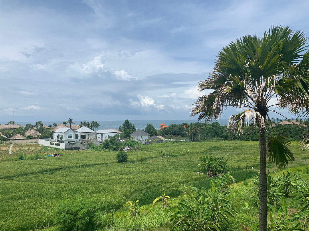 The Double View Mansions主图