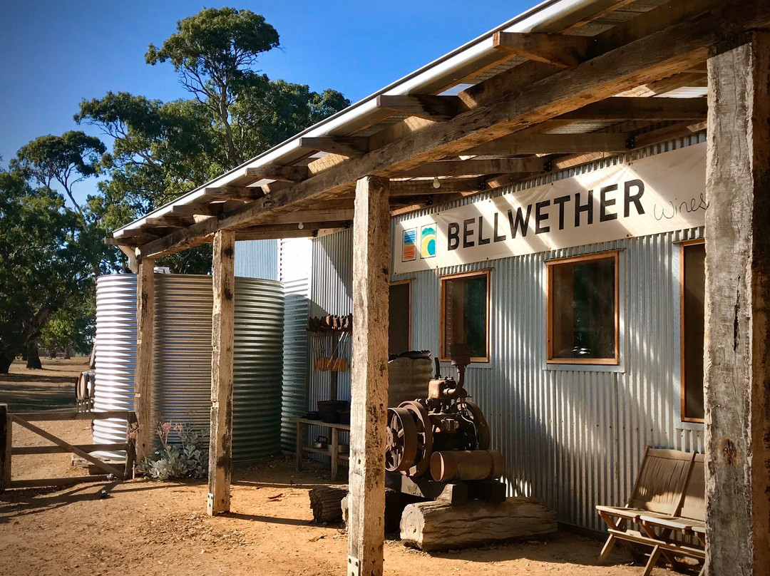 Bellwether-Coonawarra必去景点