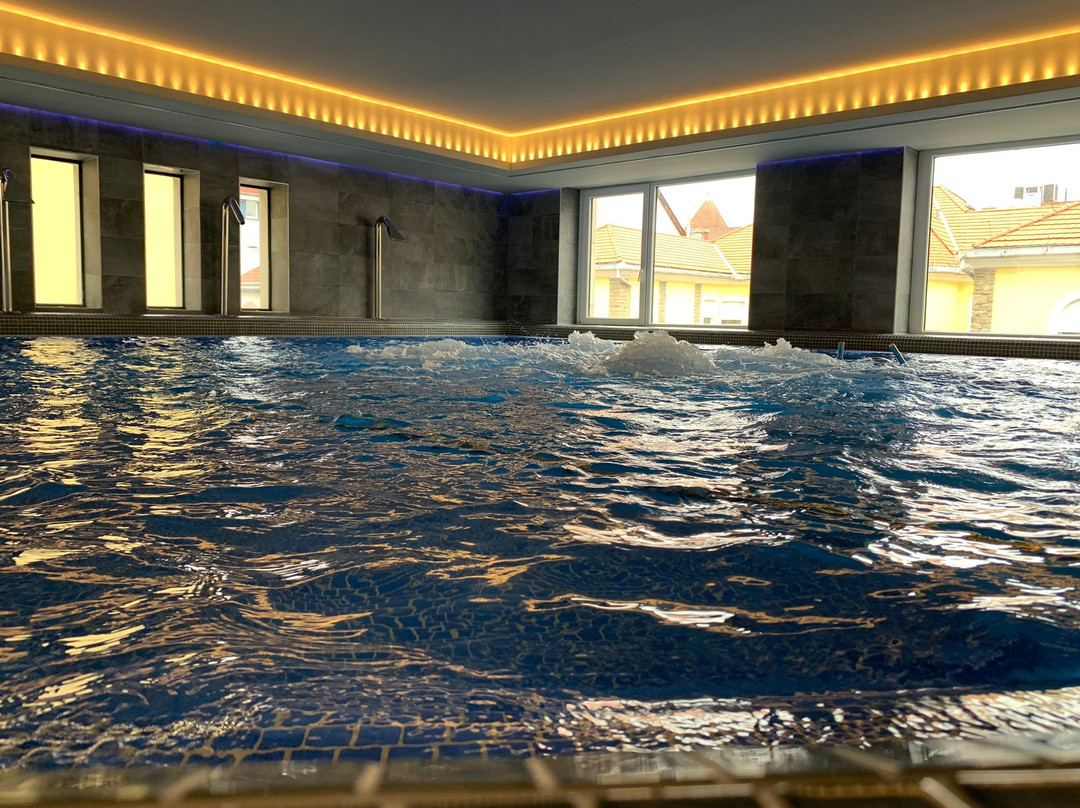 Bonvital Wellness & Gastro Hotel Heviz主图