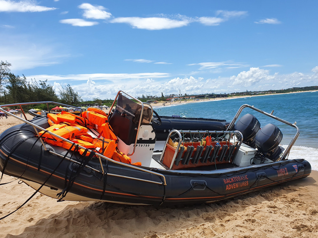 Back To Basics Adventures-Ponta do Ouro必去景点