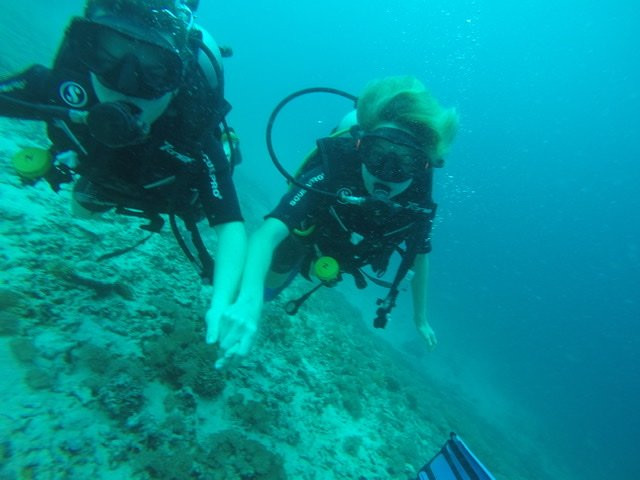 Dolphin Dive School景点图片