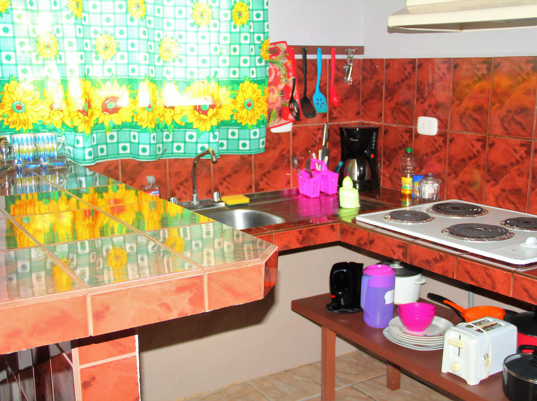 Cabinas Mansion Tropical主图