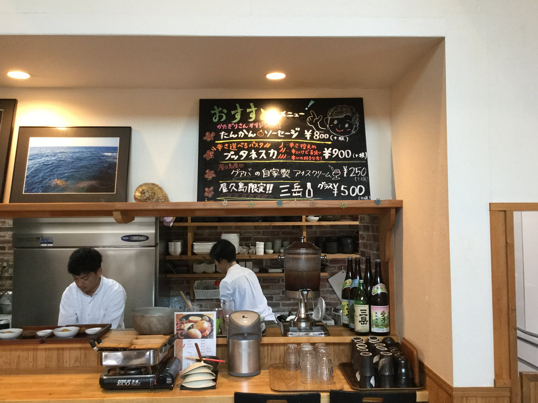 Yakusugi Takeda-屋久岛町必去景点