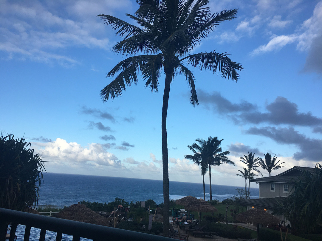 威斯汀普林斯维尔海洋度假别墅酒店主图