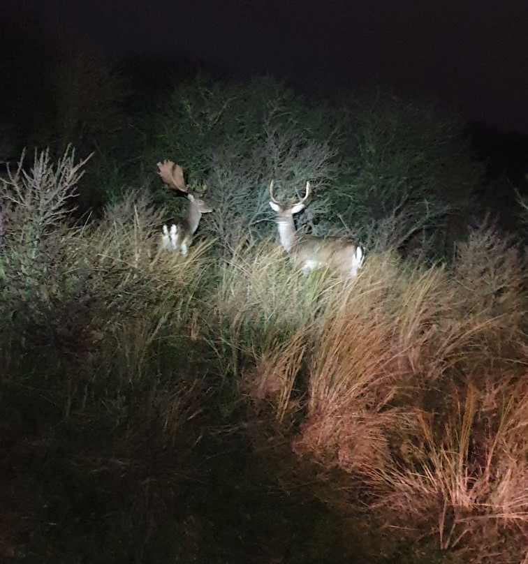 Strand IJmuiderslag-Ijmuiden必去景点
