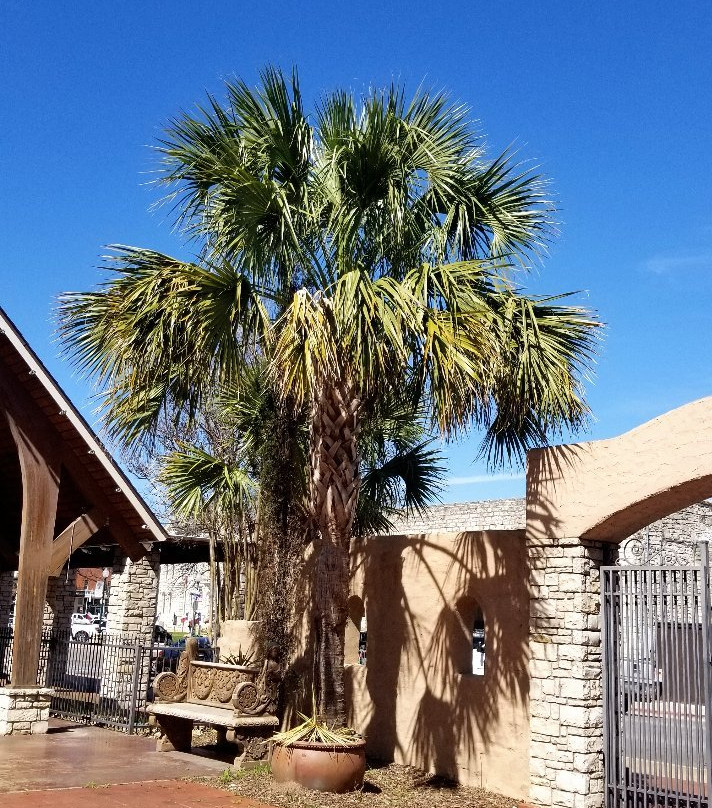 Visit Granbury-格兰伯里必去景点