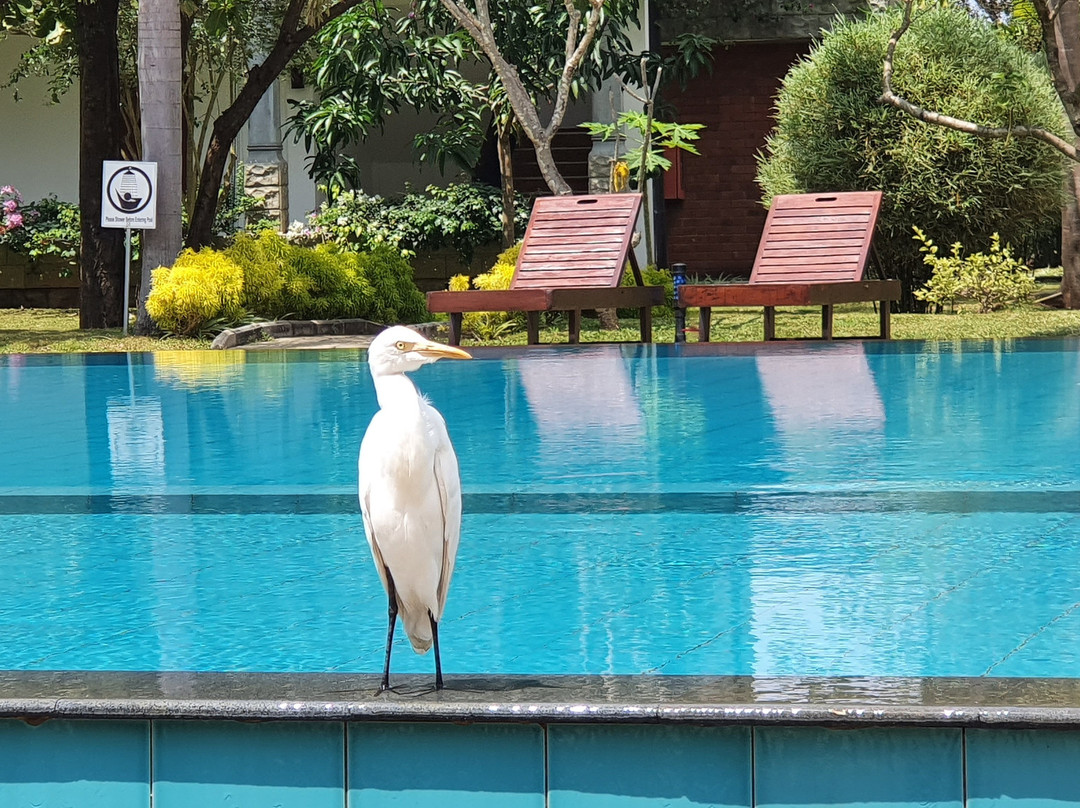 Sungreen Resort Habarana主图