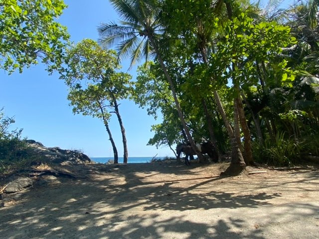 Hotel Los Mangos主图