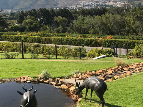 Mullineux & Leeu Family Wines-法兰舒克必去景点