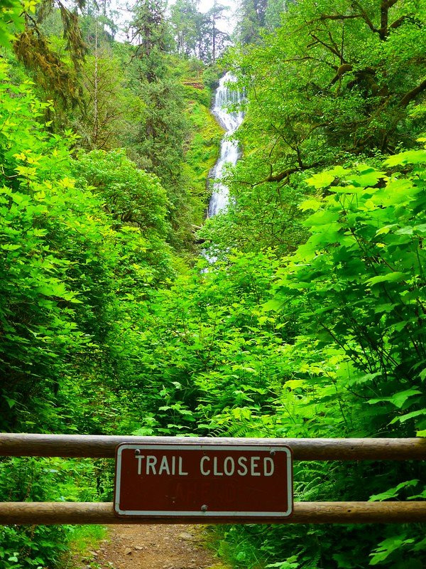 Munson Creek Falls-蒂拉穆克必去景点