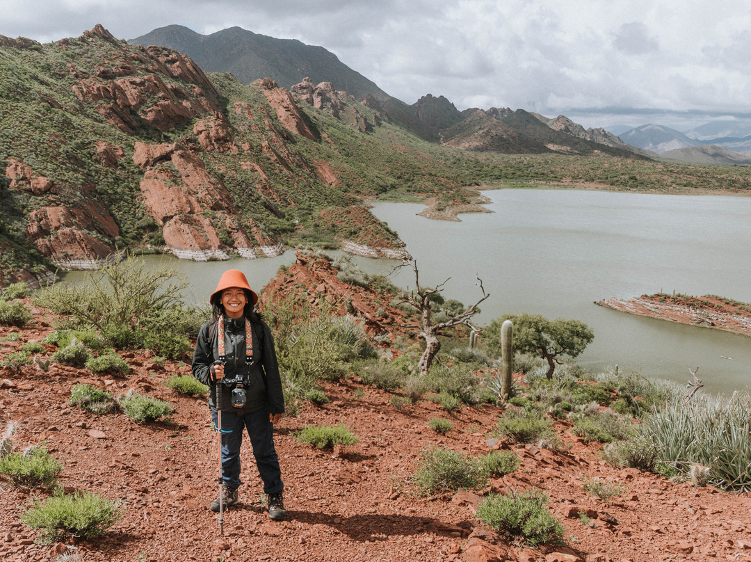 Laguna del Brealito景点图片