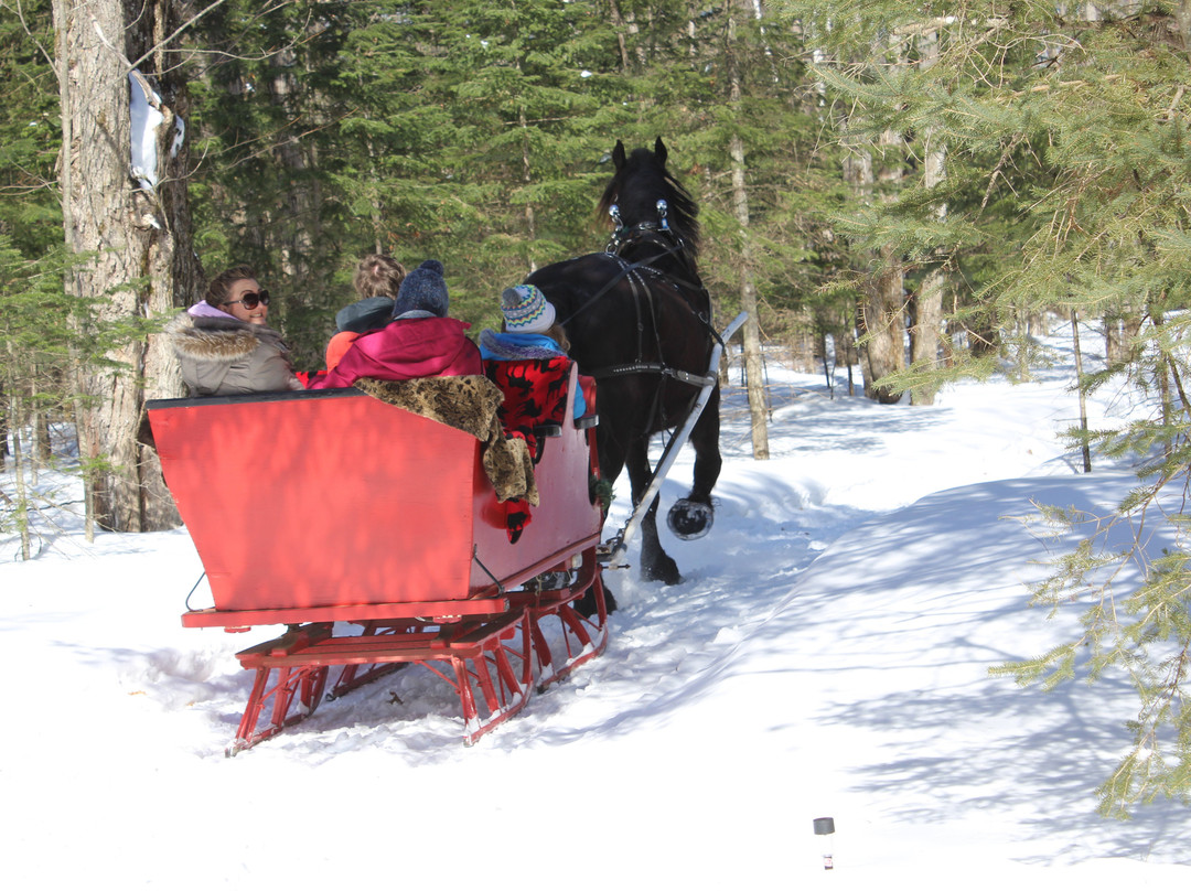 Back of Beyond Equine Centre-亨茨维尔必去景点