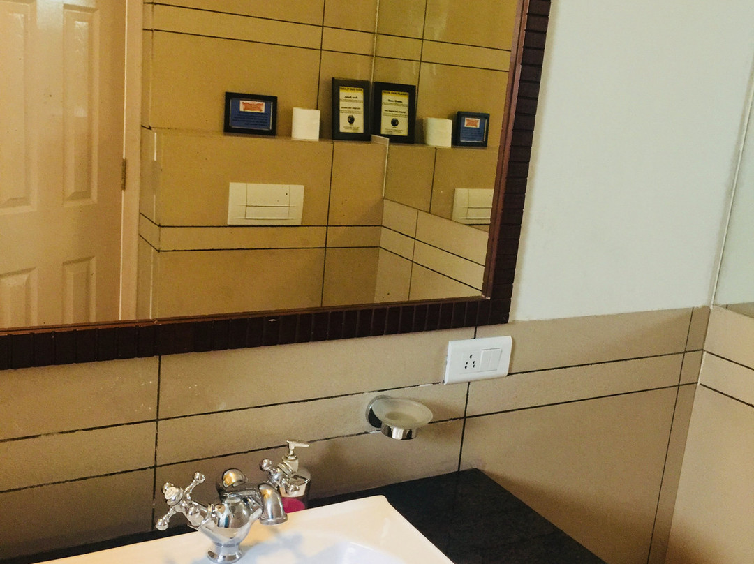 Lamrin Norwood Green Palampur主图