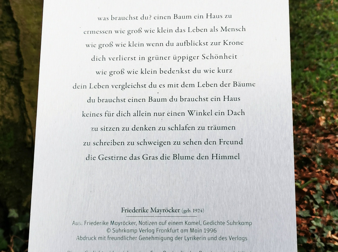 Botanischer Garten-林兹必去景点