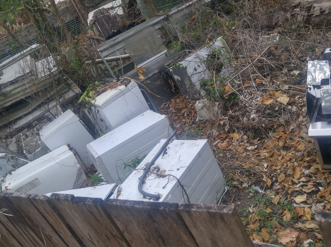 费兹洛伊岛度假村主图