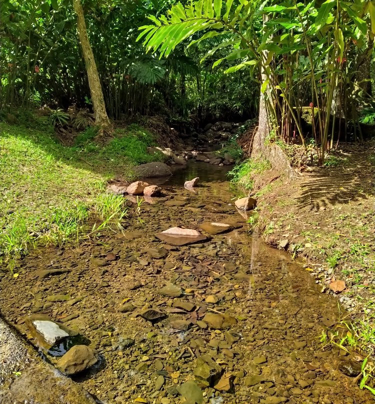 Foret Coeur Bouliki-Saint-Joseph必去景点