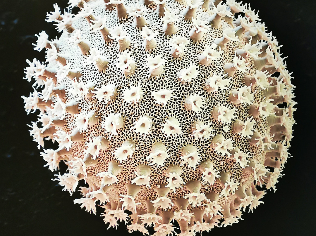 Ars Electronica Center-林兹必去景点