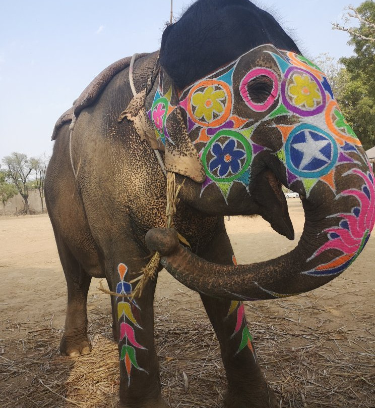 Ele Experience Farm-斋蒲尔必去景点