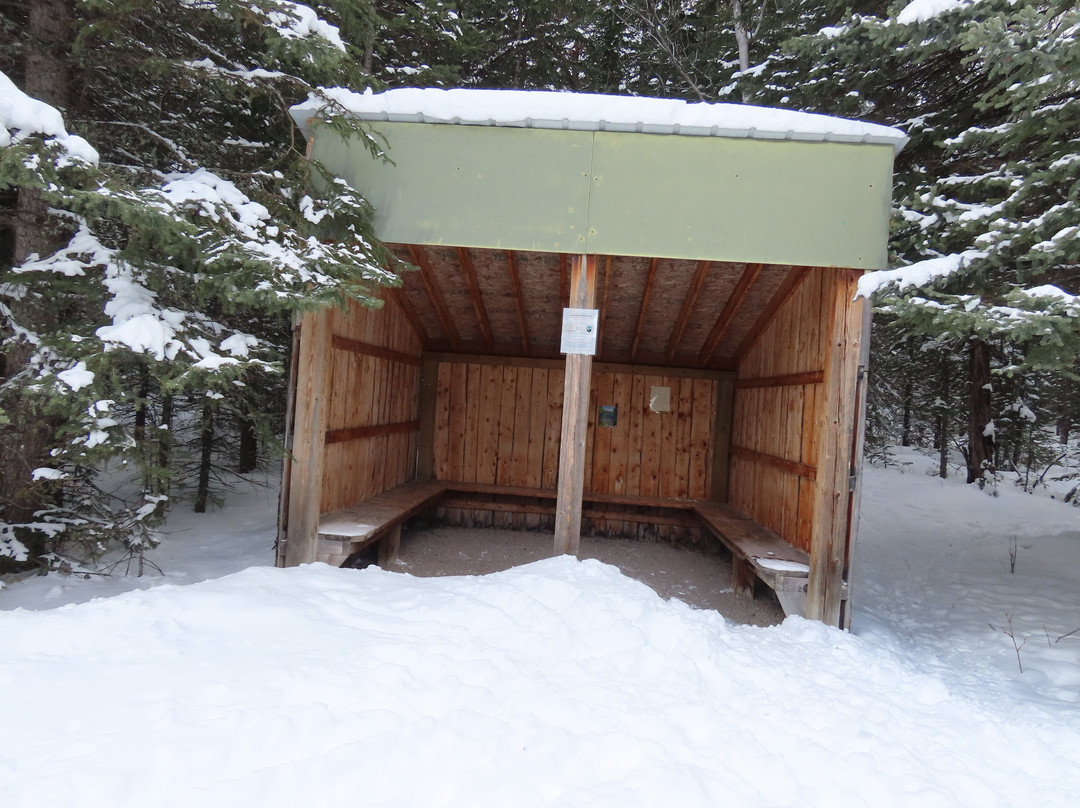 Allison Lake Cross Country Ski Trails-科尔曼必去景点