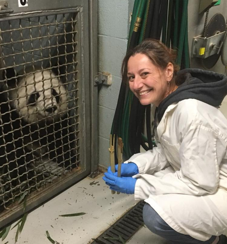 亚特兰大动物园-亚特兰大必去景点