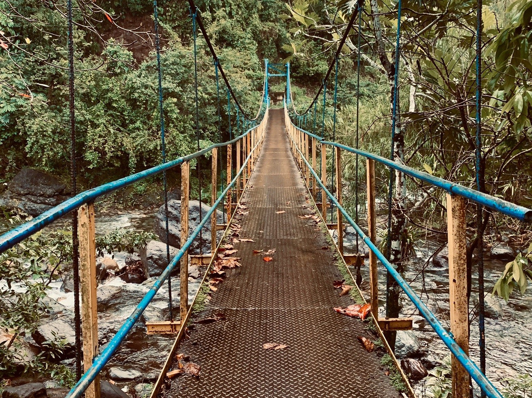 Portland's Riverside Retreat主图