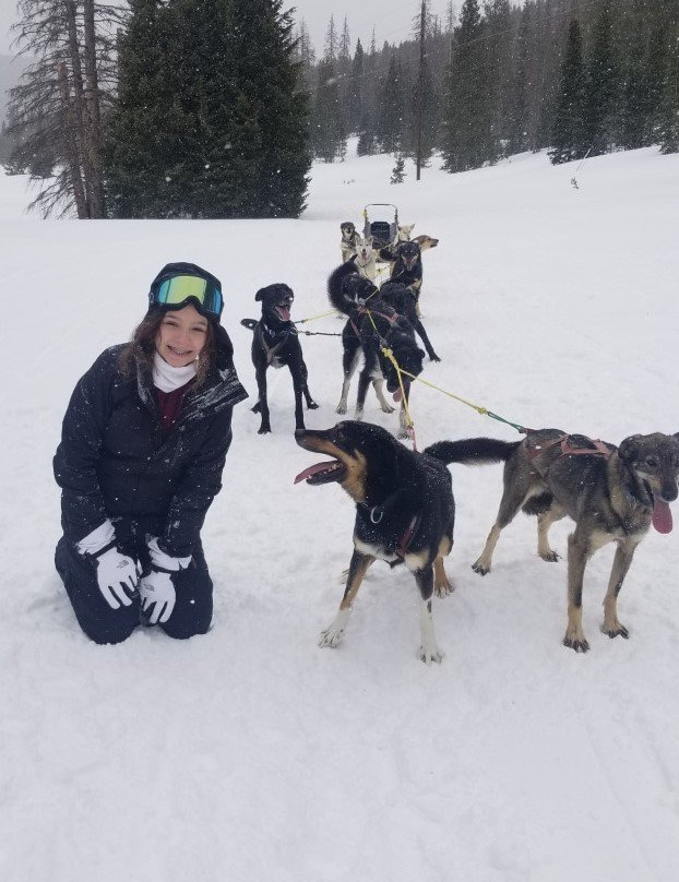 Monarch Dog Sled Rides-Monarch必去景点