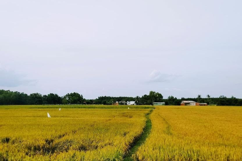 Cu Chi Adventure Tour景点图片