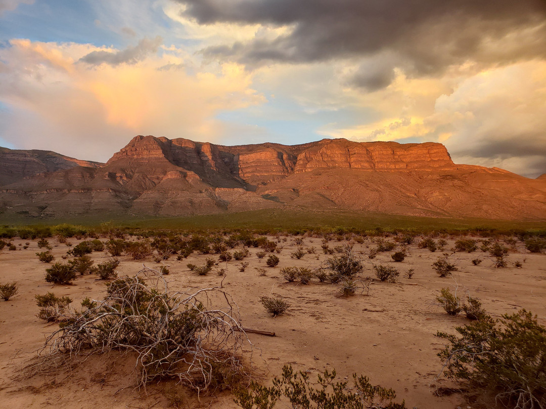 Oliver Lee Memorial State Park-阿拉莫戈多必去景点