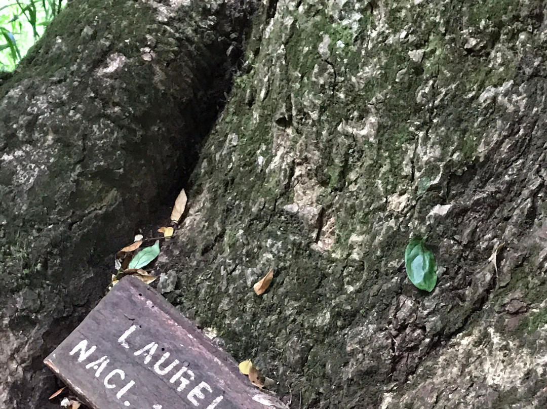 Reserva Forestal Edmundo Winkler-Frutillar必去景点