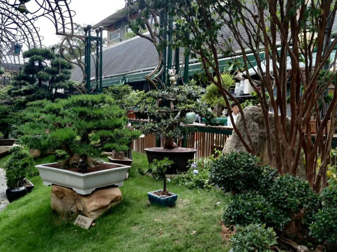 南山花卉世界-深圳市必去景点