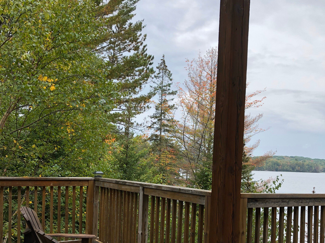 Bark Lake Leadership & Conference Centre景点图片