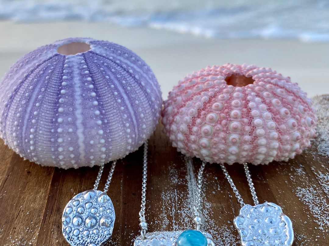 Atelys-普罗维登西亚莱斯必去景点