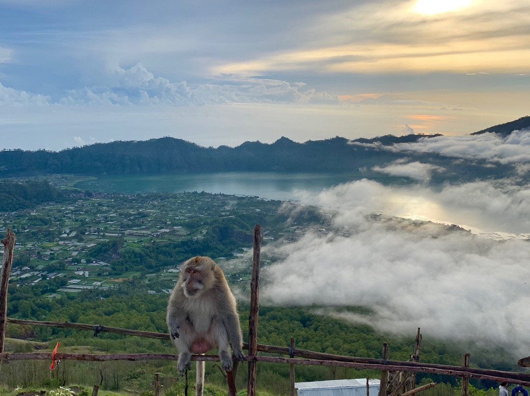 Batur Volcano Hiking景点图片