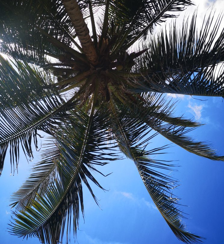 Anse Tillet - Interdit Aux Nudistes-Deshaies必去景点