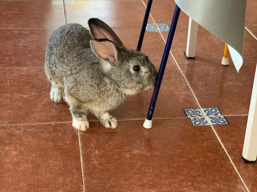 Casa Xaan Boutique Hotel主图