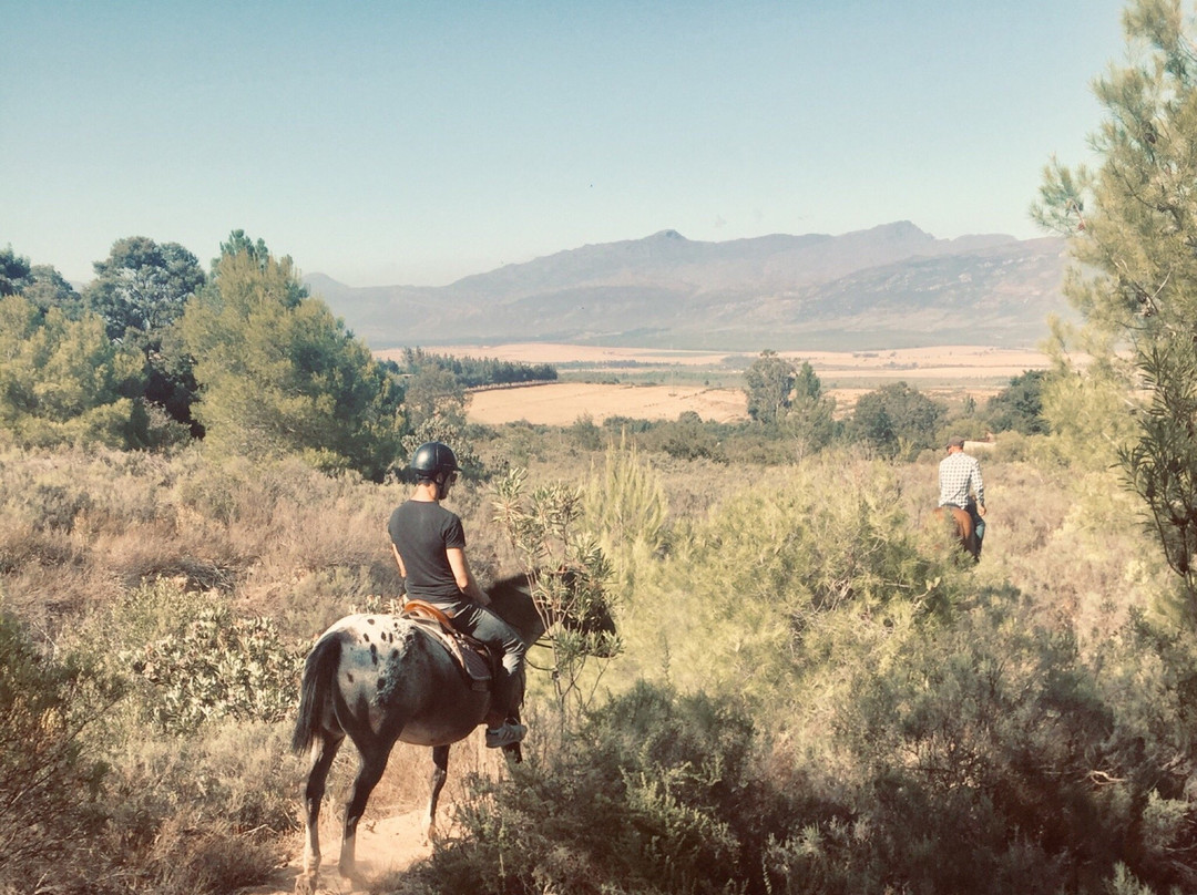 Horse About Trails景点图片