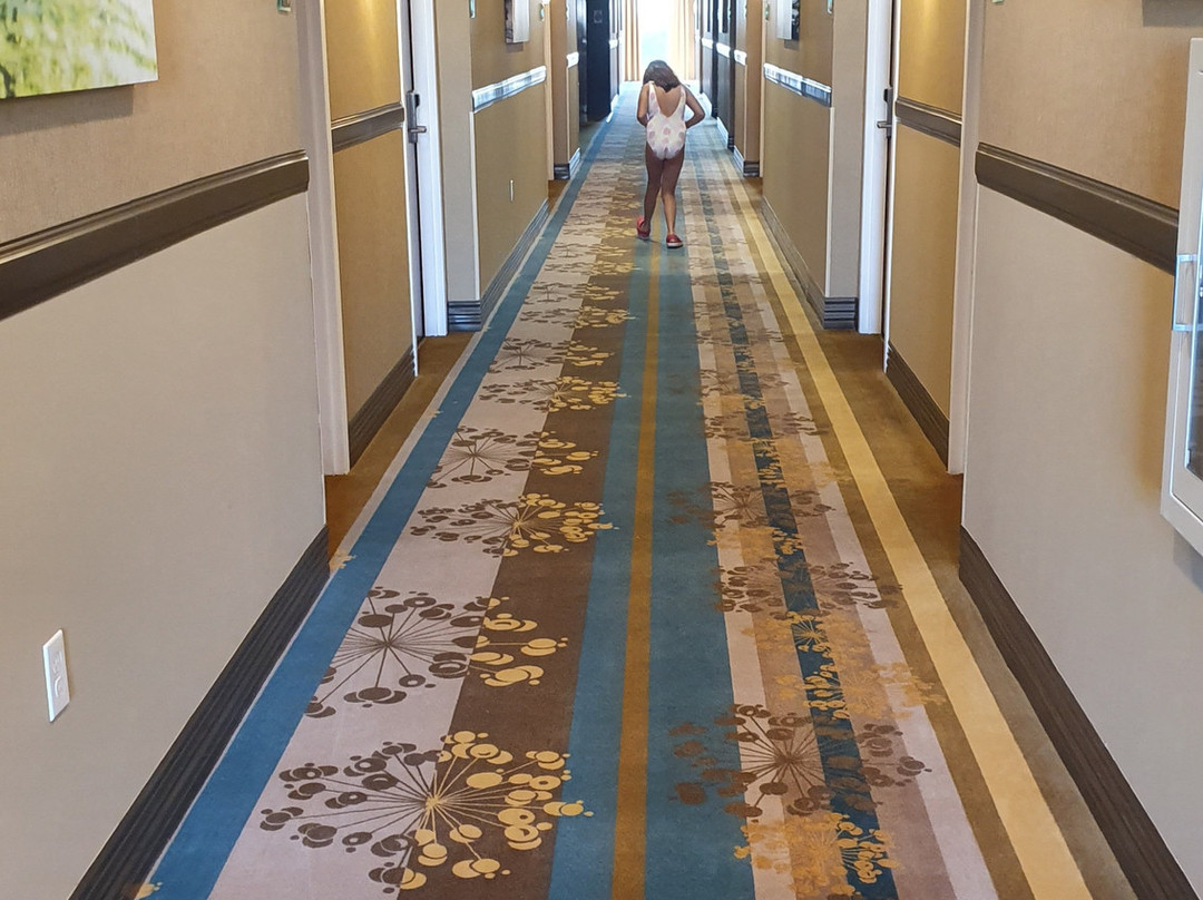 Best Western Plus Miami Executive Airport Hotel & Suites主图